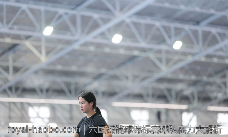 六国橄榄球锦标赛球队实力大解析