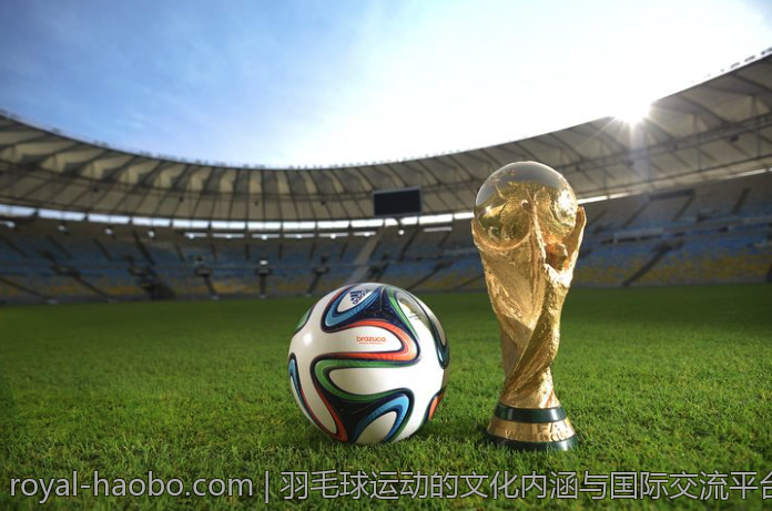 羽毛球运动的文化内涵与国际交流平台