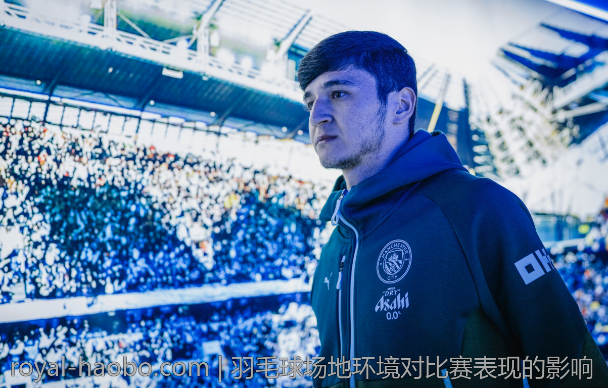 羽毛球场地环境对比赛表现的影响